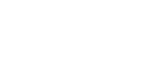 WorldMatch partner logo