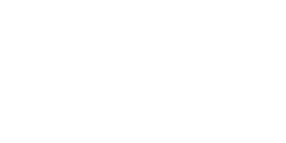 Evolution partner logo